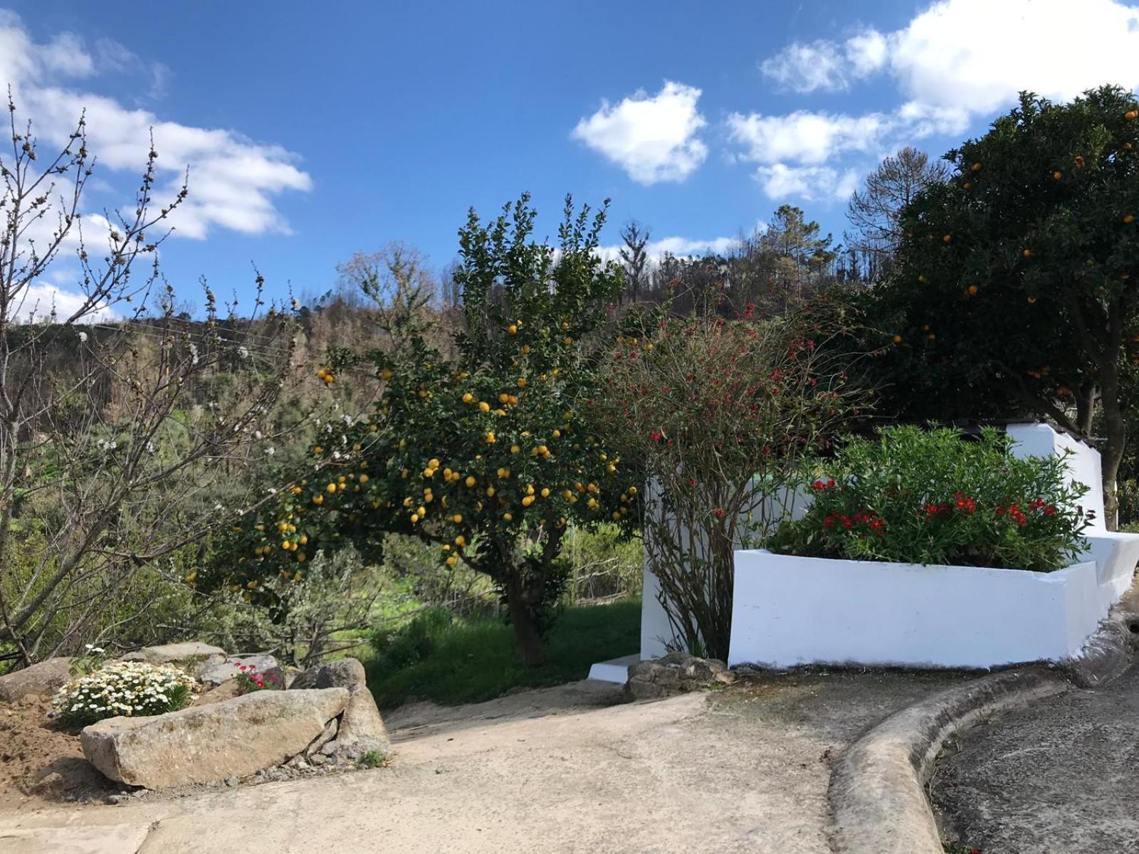 Villa Casas Bemposta Monchique Exterior foto