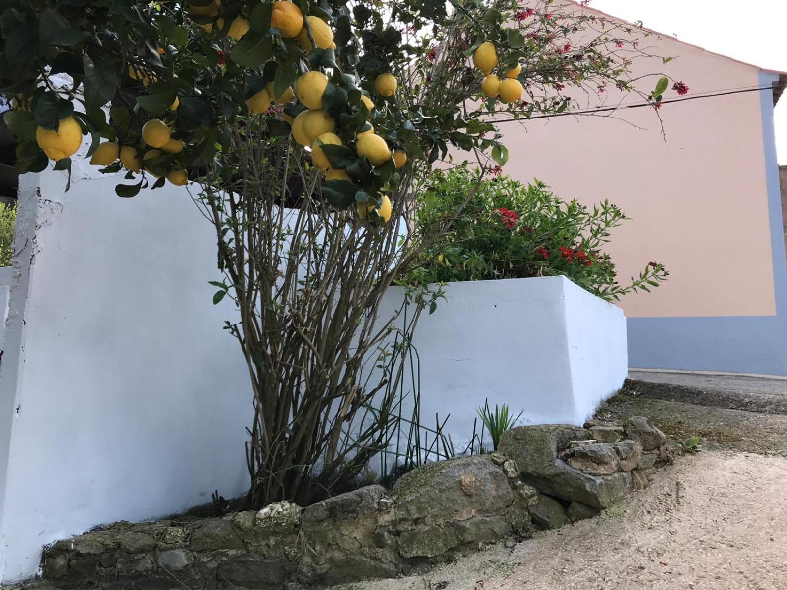 Villa Casas Bemposta Monchique Exterior foto
